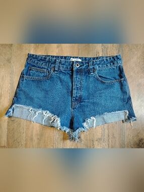 Free People High-Rise cut Off Shorts Women's Size: 31